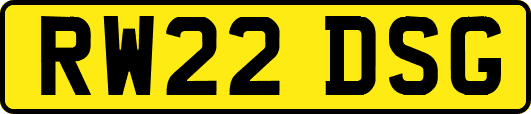 RW22DSG