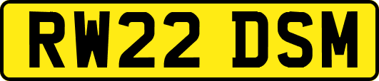 RW22DSM