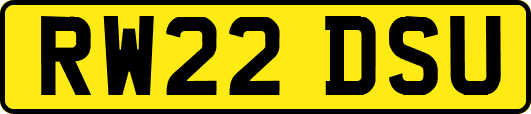 RW22DSU