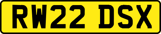 RW22DSX