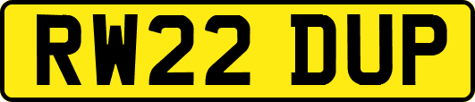 RW22DUP