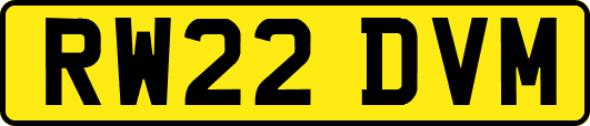 RW22DVM