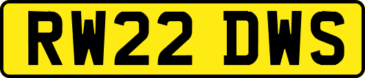 RW22DWS