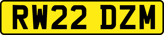 RW22DZM