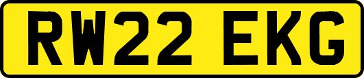 RW22EKG
