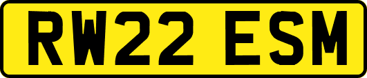 RW22ESM