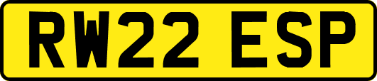 RW22ESP