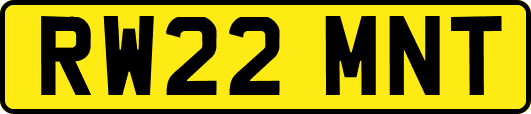 RW22MNT