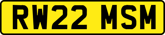 RW22MSM