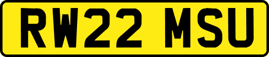 RW22MSU