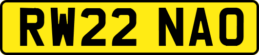 RW22NAO