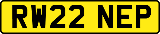 RW22NEP