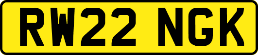 RW22NGK