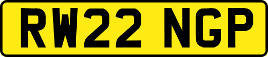 RW22NGP