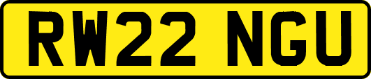 RW22NGU