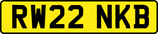 RW22NKB