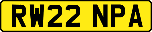 RW22NPA