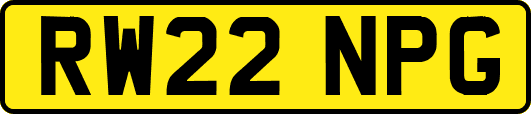 RW22NPG