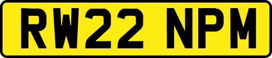 RW22NPM