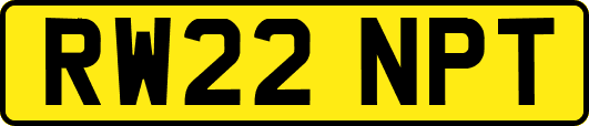 RW22NPT