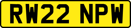 RW22NPW