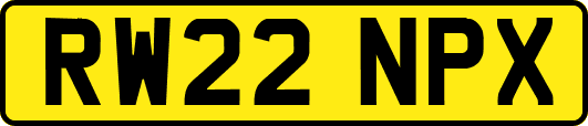 RW22NPX