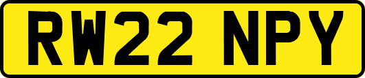 RW22NPY