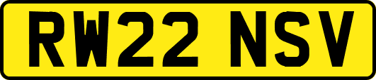 RW22NSV