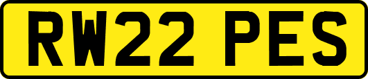 RW22PES