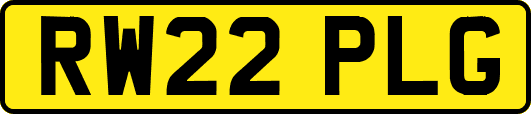 RW22PLG