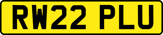 RW22PLU