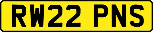 RW22PNS