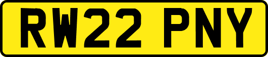 RW22PNY