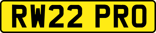 RW22PRO