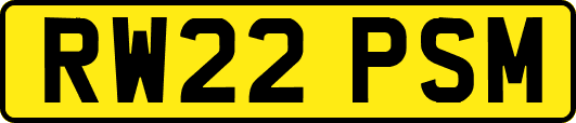 RW22PSM
