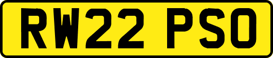 RW22PSO