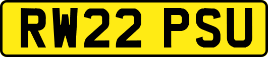 RW22PSU