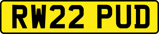RW22PUD