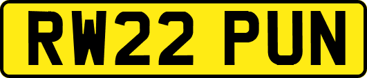 RW22PUN