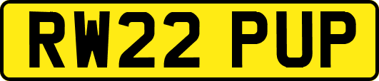 RW22PUP