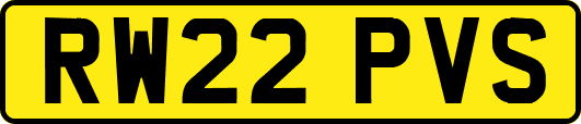 RW22PVS