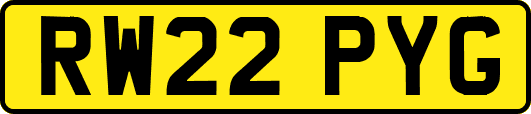 RW22PYG