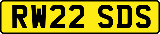 RW22SDS