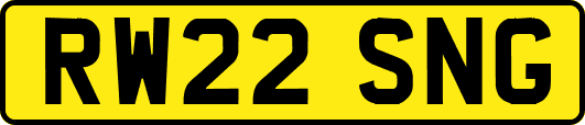 RW22SNG