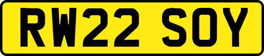 RW22SOY