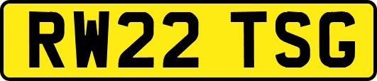 RW22TSG