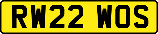 RW22WOS