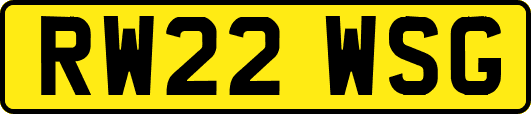 RW22WSG