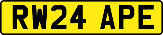 RW24APE