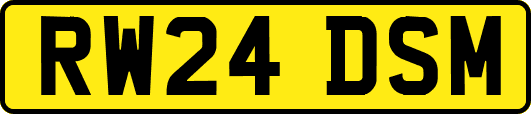 RW24DSM